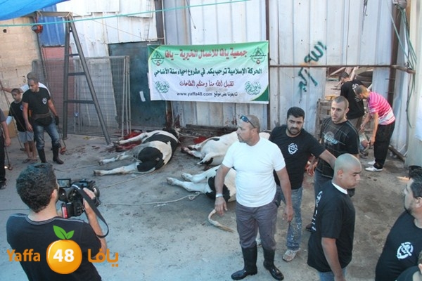 ada7y 116 n1 (12).JPG